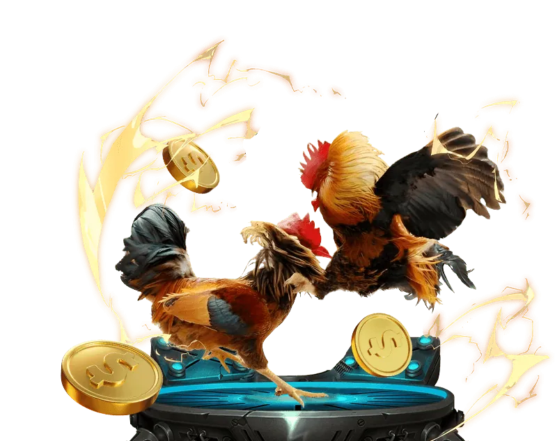 Hoàn trả cá cược thể thao 13win