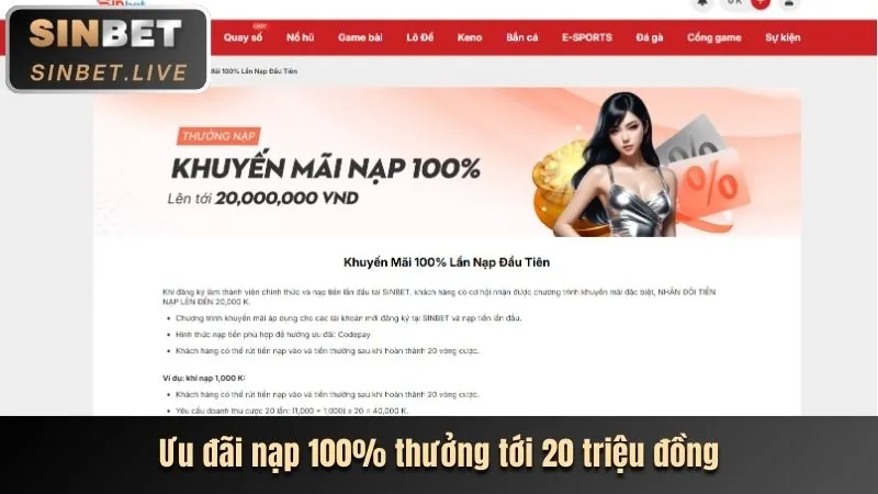Minh họa các bước điền thông tin đăng ký 13win